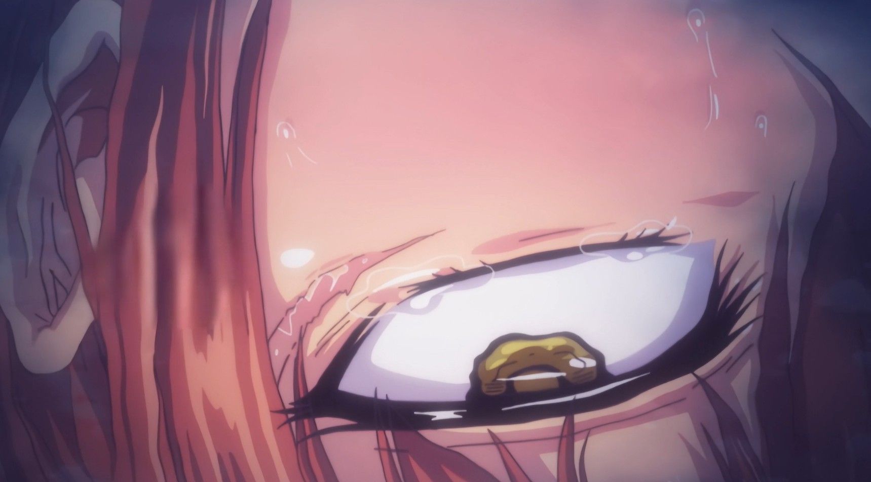 里番：2K ai解码 レジデンス合集（3.41G）-第8张图片-萌站